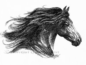 Flowing_by_DancesWithHorses