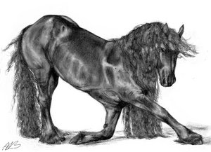 Friesian_bow_by_alexandrabirchmore