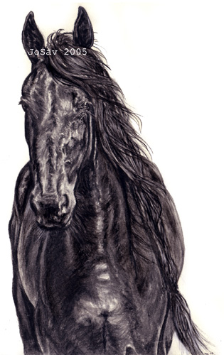 Friesian_by_ancienthorses