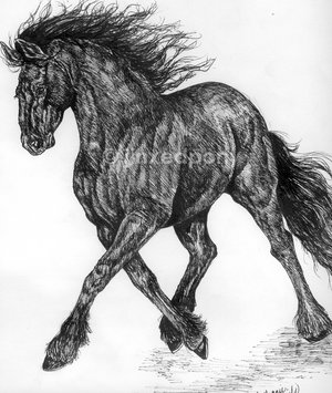 Friesian_by_jinxedpony