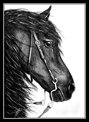 friesian_by_tearsinrain