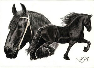 Friesian_Tribute_by_LindaColijn