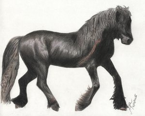 friesian_wannabe_by_nellaf
