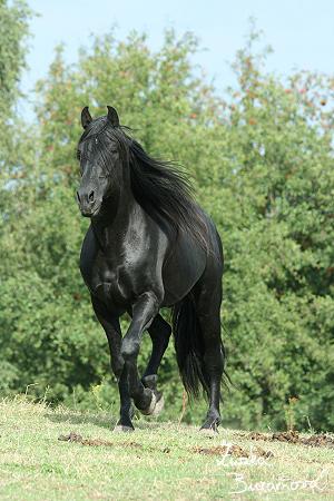 staj-ufonek4564