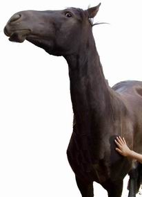 3a