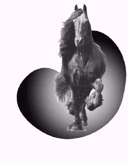 f6d3318c69_341951_o2